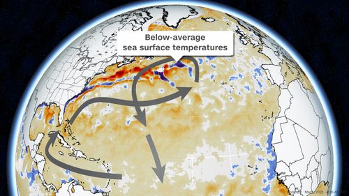 The Slowing Down Of Ocean Currents Could Have A Devastating Effect On Our Climate