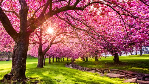 Spring, The Most Inspiring Of The Seasons (this Year Especially)