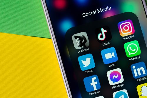 How A Year Of Living Almost Exclusively Online Made The Internet Weird Again