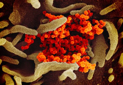 The Latest On The Coronavirus Pandemic And Vaccines