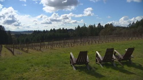 ‘it’s Been Tough’: Winery Owner Explains How The Pandemic Has Impacted The Industry