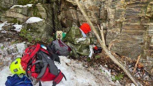 Search And Rescue Teams Locate Woman, Dogs Lost On Trail