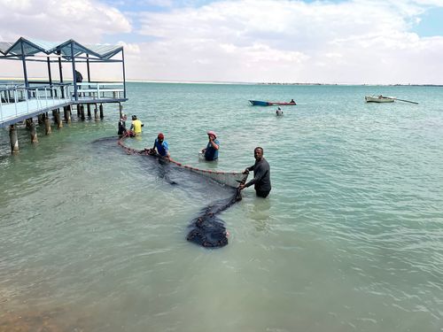 All Hands On Deck As Suez Locals Ply Food And Wares To Growing Numbers Of Hungry, Stranded Crews