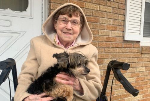 Police Help Reunite Stolen Elderly Dog With Her Owner