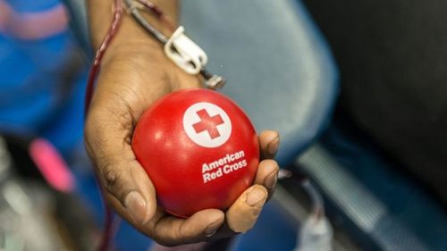 The American Red Cross Is In Critical Need Of Blood Donations Right Now. Here’s How To Donate