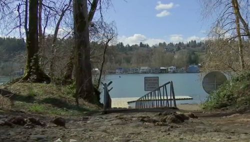 Man Jumps In River, Saves Dog Near Sellwood Riverfront Park