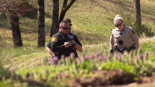Reward Being Offered For Information After Horse Shot To Death