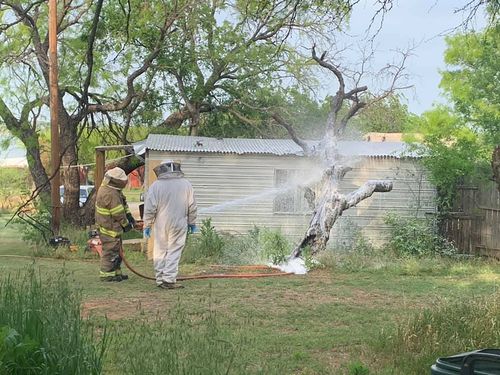 A Texas Man Mowing His Lawn Was Killed After He Was Attacked By An Aggressive Swarm Of Bees