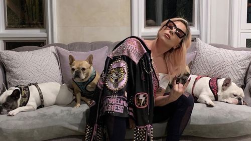 Arrests Made In Connection To Attack On Lady Gaga’s Dog Walker