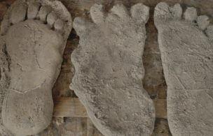 ‘sasquatch’ Docuseries Is A Dark Journey Into The ‘backwoods Dope Business’