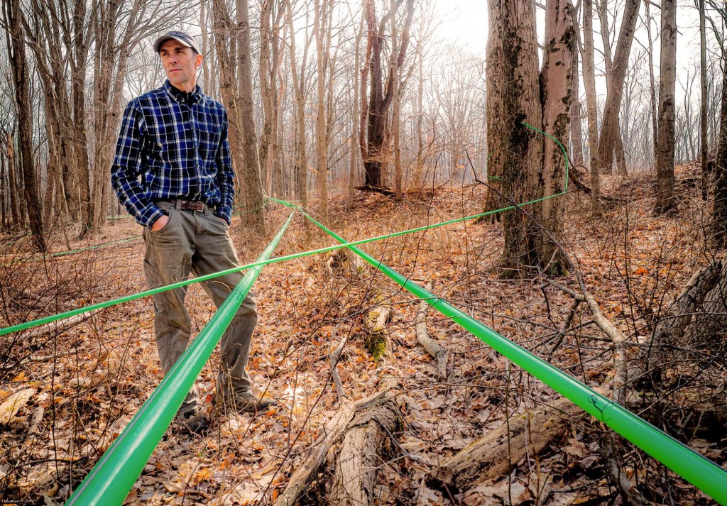 Making The Grade: Old State Farms’ Pure Maple Syrup