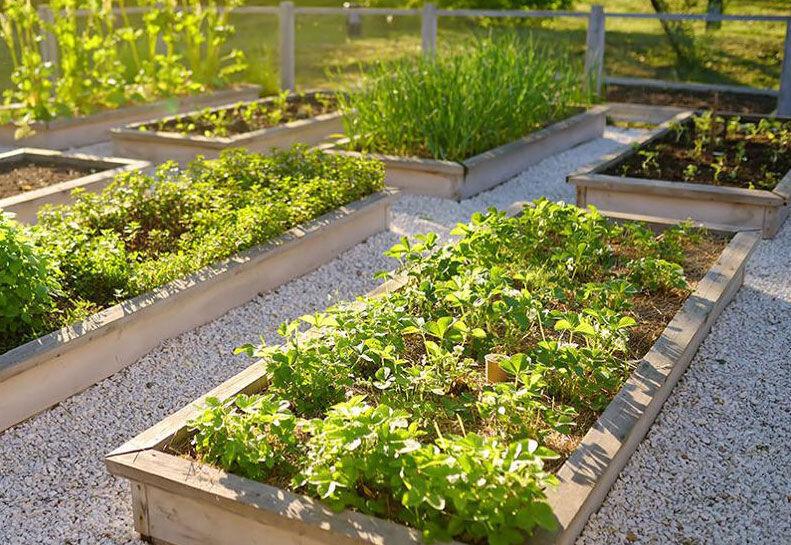 How To Build A Raised Garden Bed