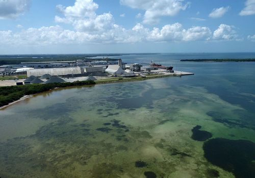 Wastewater From Piney Point Has Tampa Bay On Edge For Possible Red Tide, Algae Bloom