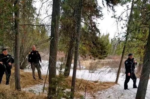 Backcountry Guide Mauled To Death While Fishing Near Yellowstone National Park