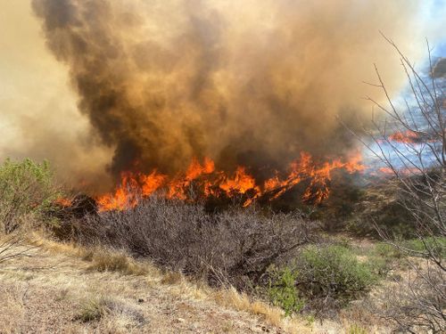 Arizona’s Copper Canyon Fire Grows To 2,560 Acres