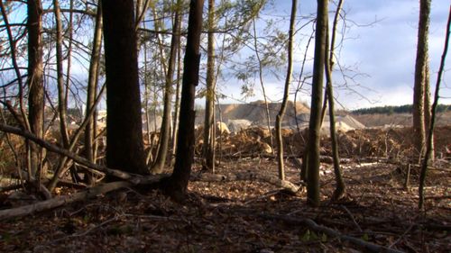 A Man Has Been Charged For Detonating 80 Pounds Of Explosives At A New Hampshire Gender Reveal Party That Triggered An Explosion, Police Say