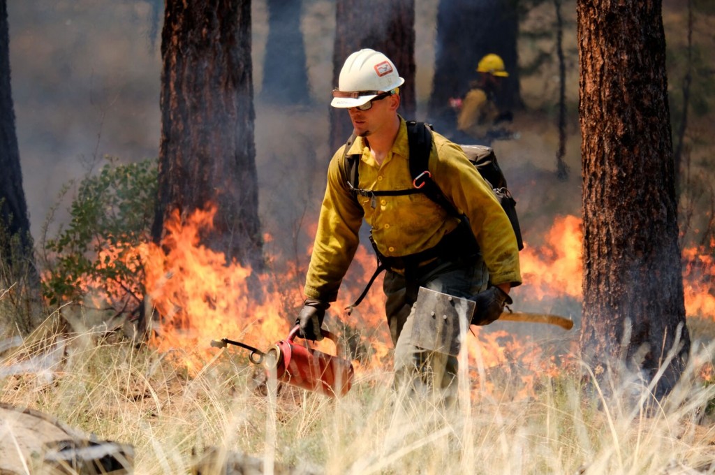 ‘nothing Looks Good’ Preparing For Summer Wildfire Season. What To Expect.