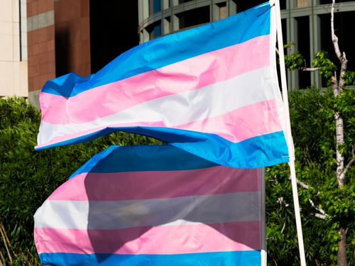 Civil Rights Groups Sue West Virginia Over New Anti Trans Sports Bill