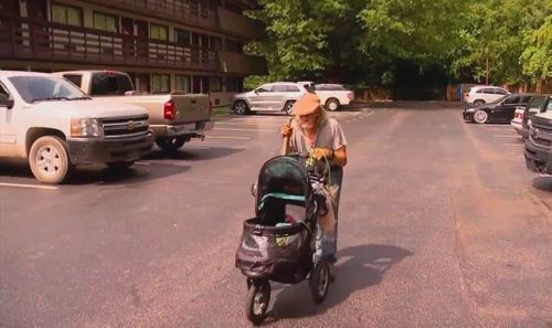 Animal Rights Group Pressures Authorities To Make Arrest In Road Rage Case
