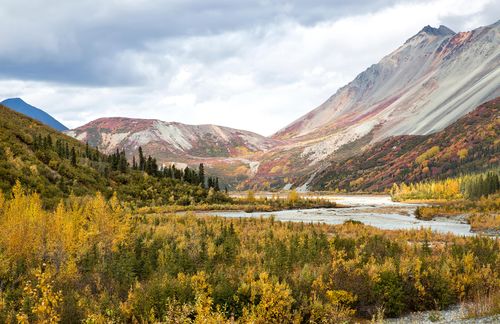 Alaska Man Survives Near Deadly Encounter With Brown Bear That Bit His Head