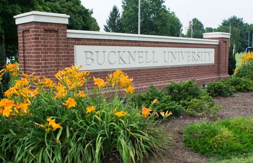 Bucknell University Condemns ‘horrific Incident’ Against Lgbtq Student Community And Orders Investigation