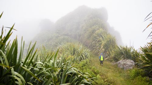 The Man On A Remote Island Keeping Napoleon’s Flame Alive