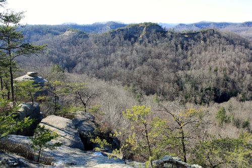 University Of Kentucky Student Falls To Her Death Off A Cliff In Red River Gorge