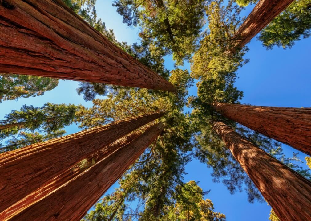 These Are The Most Popular National Parks In America