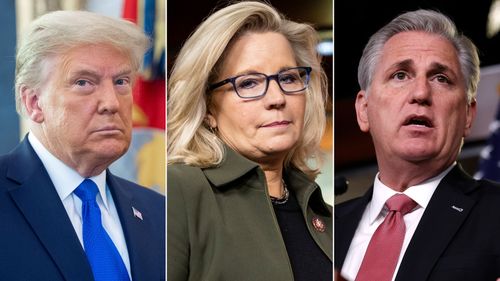 Cheney On Trump: ‘he’s Going To Unravel The Democracy To Come Back Into Power’