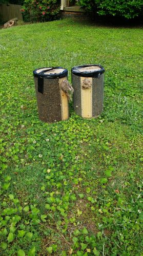 A Georgia Woman Was Shocked To Find At Least 100,000 Bees In Her Home — For The Second Time