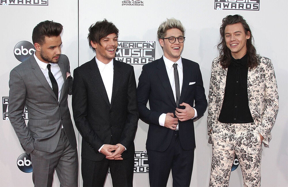 Niall Horan Would Only Want 1d Reunion If Everyone Was ‘completely’ Up For It