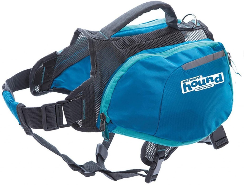 Taking Your Pup For A Hike? Here Are Some Must Haves Before You Head Out