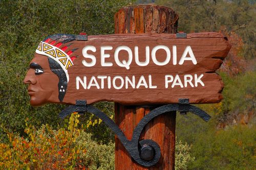 A Hiker Died After Falling 500 Feet From A Mountain Summit In California’s Sequoia National Park
