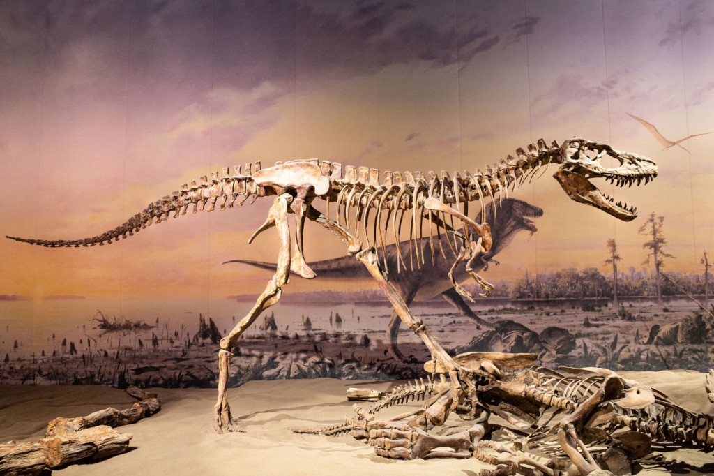 Dinosaurs Were Already Struggling Before Asteroid Strike That Doomed Them To Extinction, Study Finds