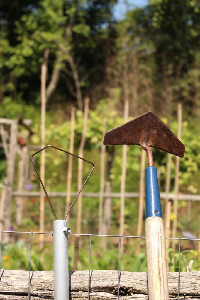 Gardening: For Easy, Effective Weeding, Go Back To The Hoe