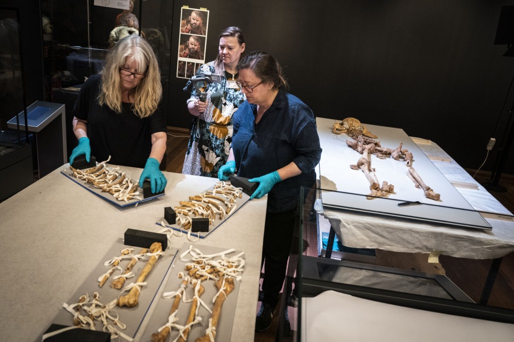 Skeletons Of Related Viking Era Men To Reunite For Exhibit