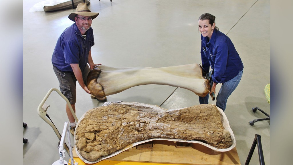 New Dinosaur Species Discovered In Australia, Two Stories Tall And A Basketball Court Long