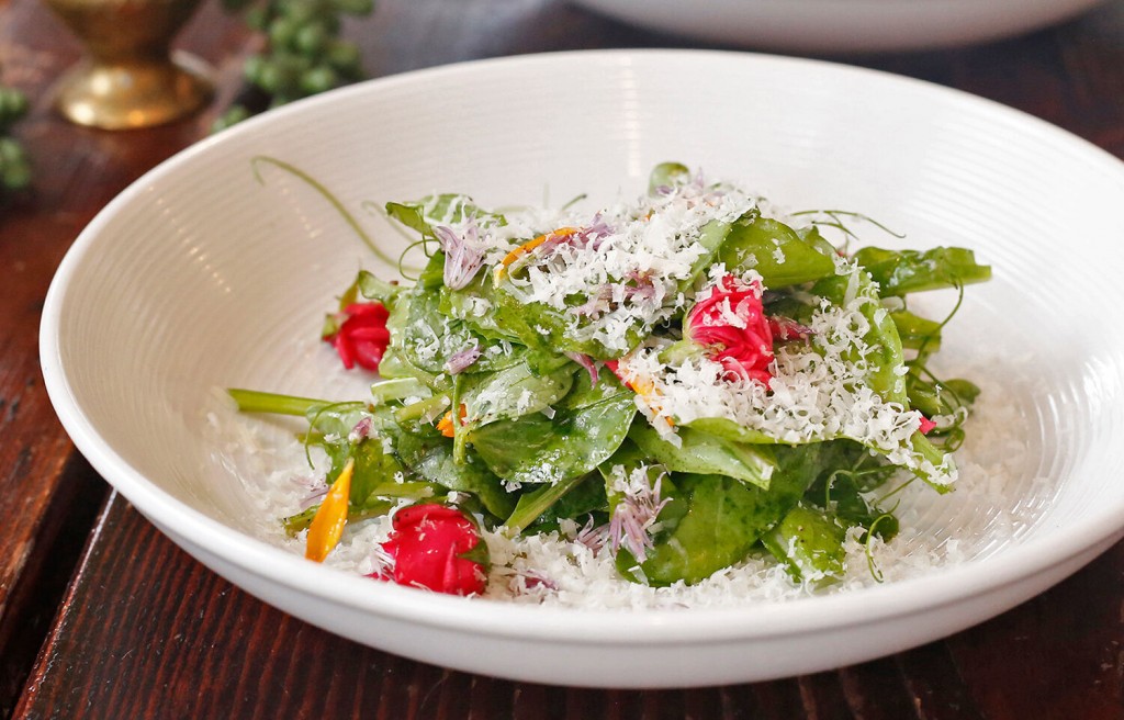 Simple Salad With Herbs, Lemon & Olive Oil
