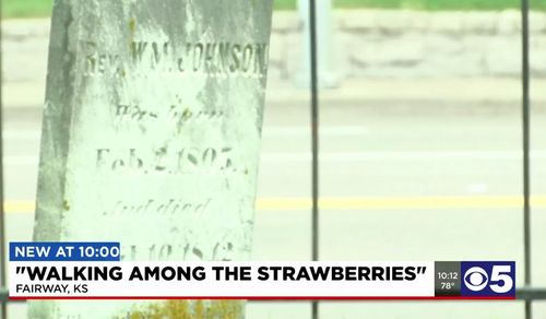 Historians Search For Unmarked Graves In Cemetery