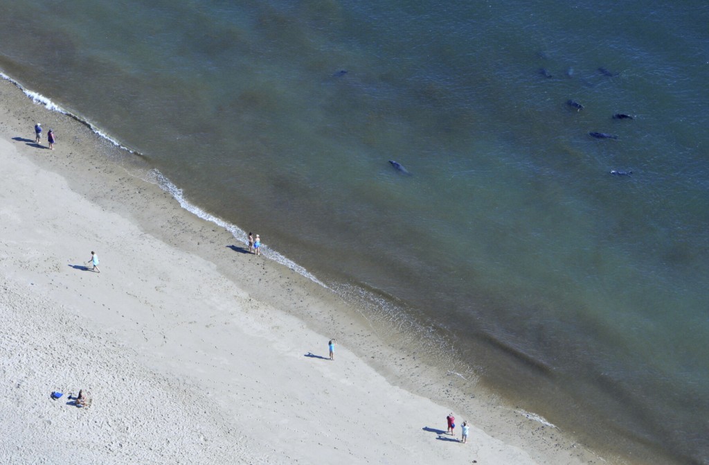 A 7 Year Old Florida Boy Swam An Hour To Get Help For His Dad And Sister Stranded On River
