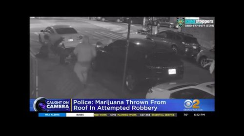 Marijuana Thrown Off Rooftop During Attempted Robbery