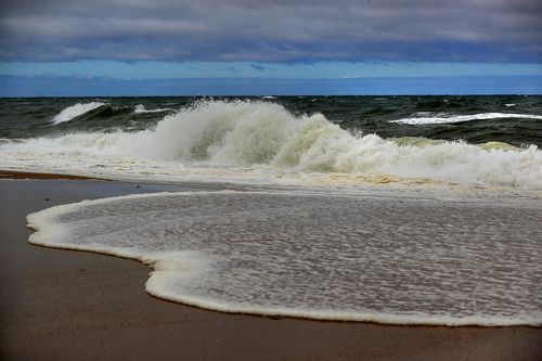 A No Swimming Order Was Issued At A Cape Cod Beach After A Great White Shark Was Sighted
