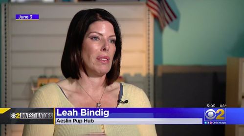 State Inspector Fired After Groping, Sexually Harassing Doggy Daycare Owner