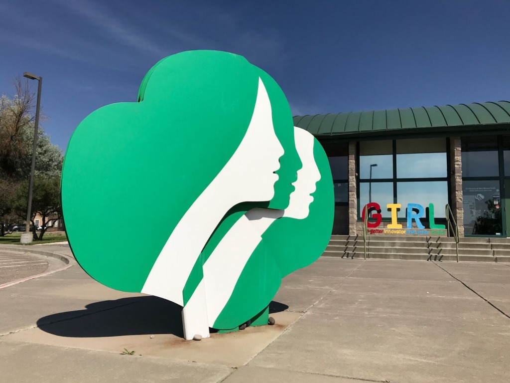 Thinner Mints: Girl Scouts Have Millions Of Unsold Cookies