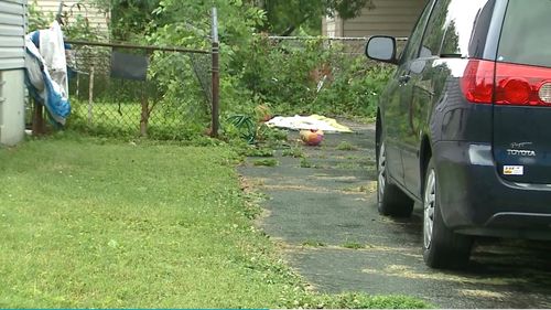 Man Shot In The Chest, Killed Over Grass Clippings Dispute In St. Louis County