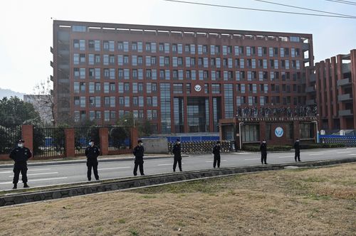 First On Cnn: Hhs Watchdog Announces Review Of Nih Grants That Likely Includes Money Connected To Wuhan Lab