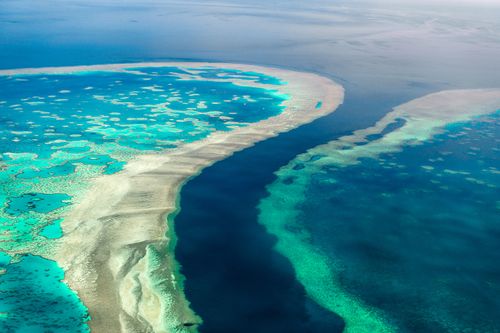 The Great Barrier Reef Is In ‘danger,’ Un Says. Australia Disagrees