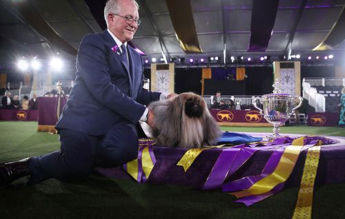 Behind The Scenes At The Westminster Dog Show