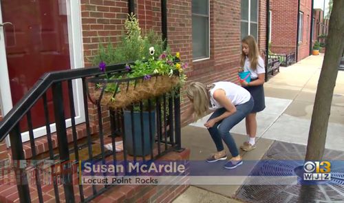 ‘they Call Me The Rock Lady’: Locals Spread Smiles One Rock At A Time