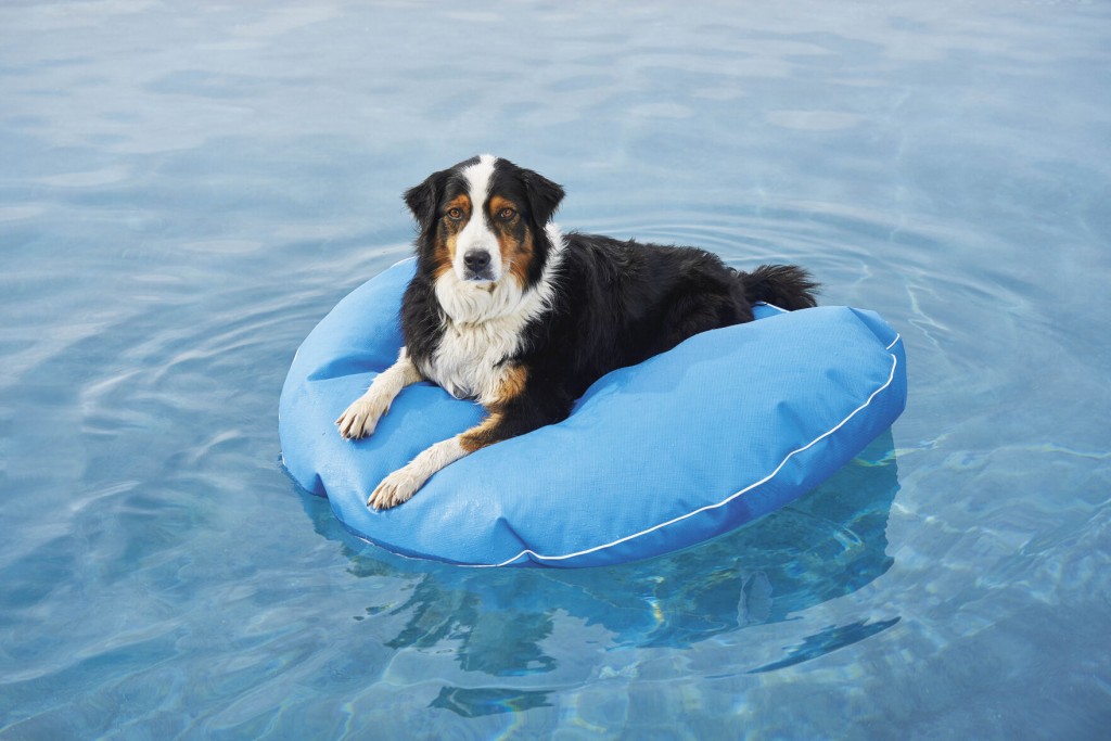 Right At Home: Splashy Water Toys For Patio, Pool, Yard